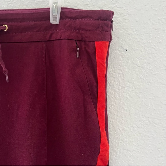 Anthropologie The Essential Slim Wine Red Striped Trouser Pants Size 10 - Picture 8 of 16